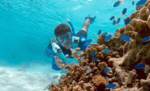 Read more about the article How Do Reef-Safe Sunscreens Protect Marine Life?