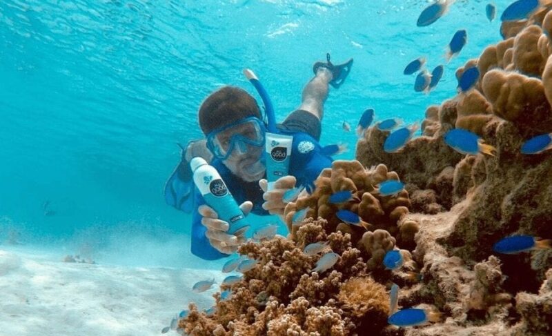You are currently viewing How Do Reef-Safe Sunscreens Protect Marine Life?